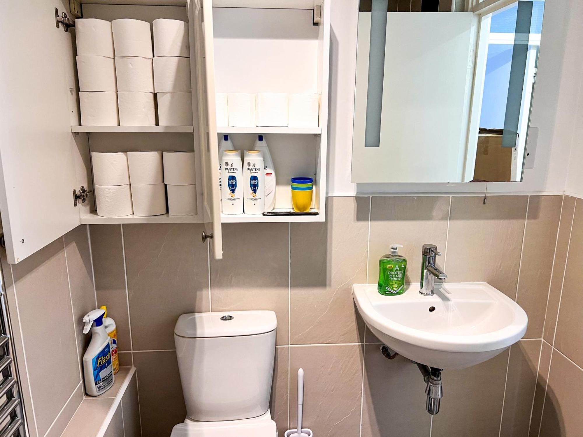 Great River Thames View Entire Apartment In The Most Central London Exterior photo